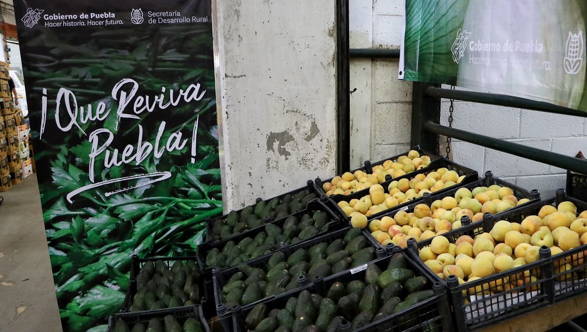 Esto es lo que debes saber del Buen Fin de productos del campo poblano 2 campo poblano buen fin 1