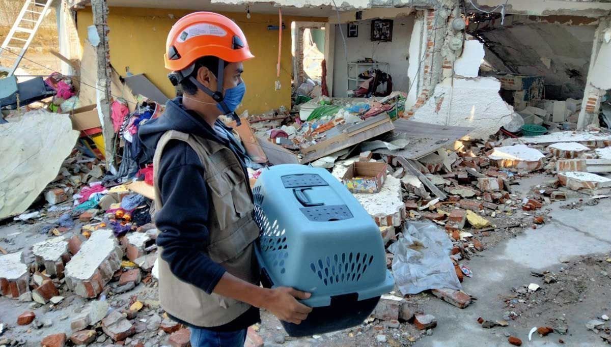 centro de acopio mascotas