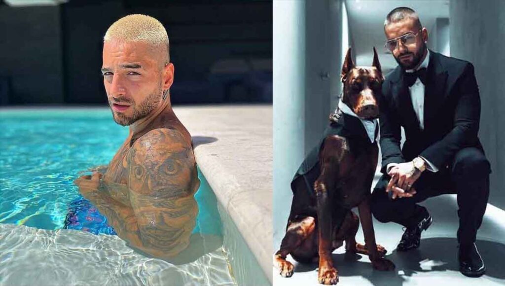 maluma 60 millones de seguidores