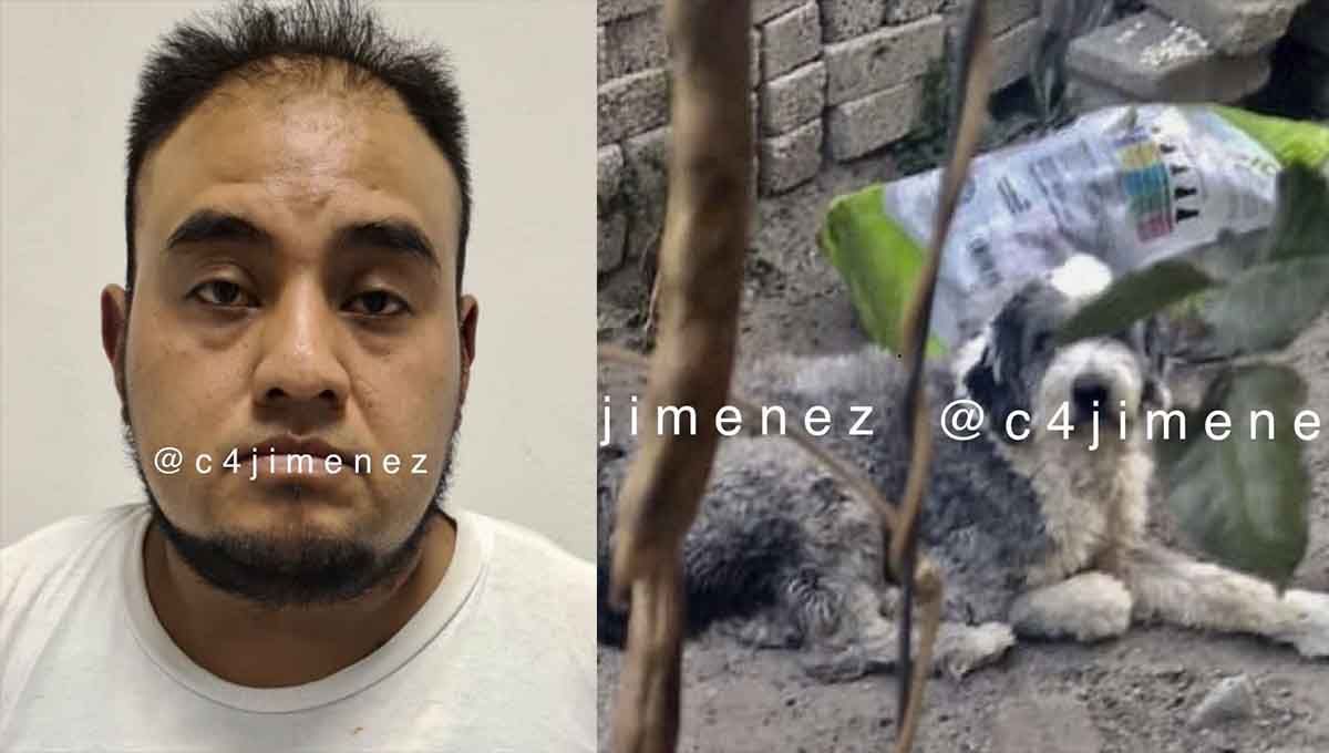 padrastro perro violacion