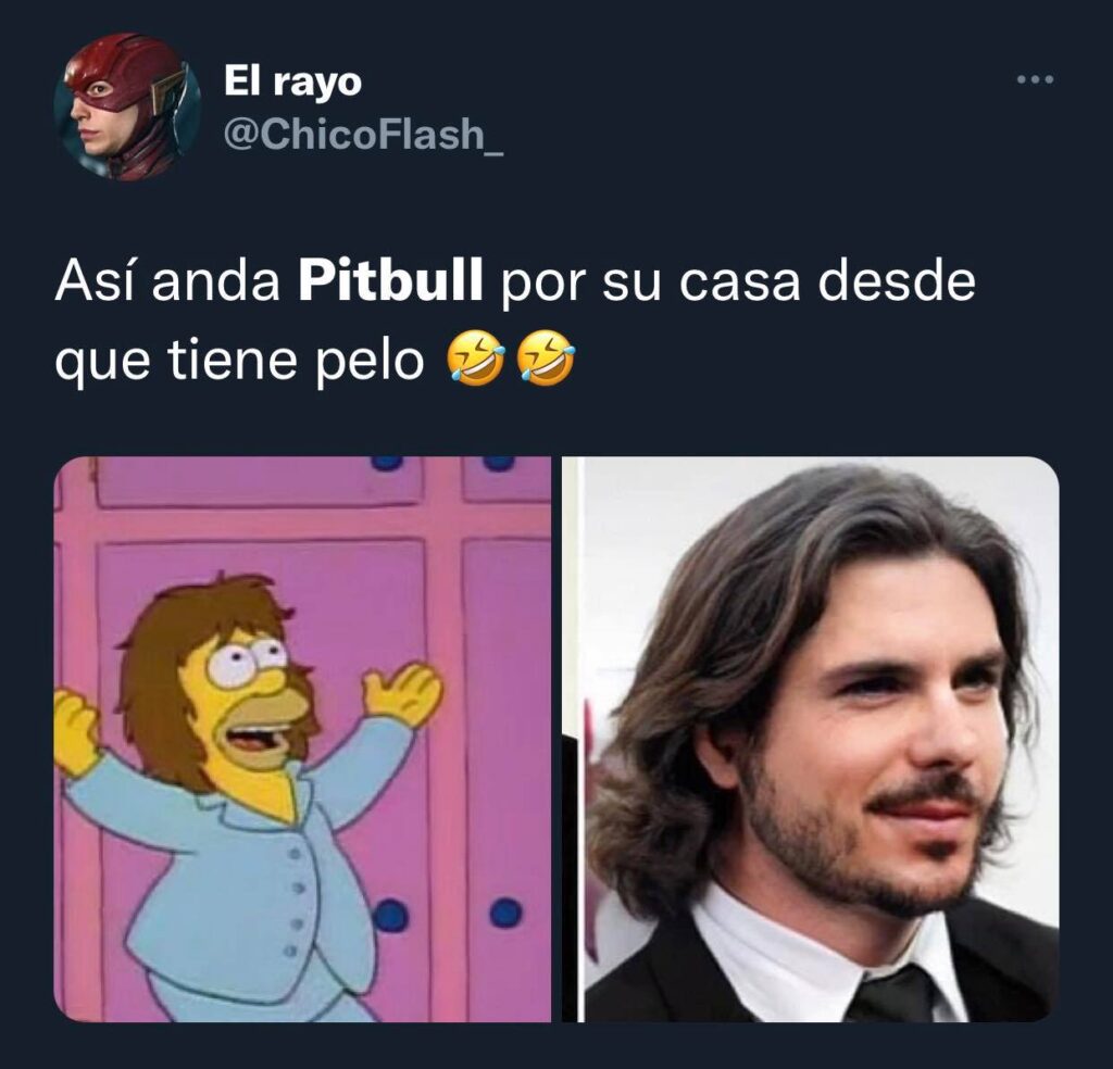 pitbull con pelo 2