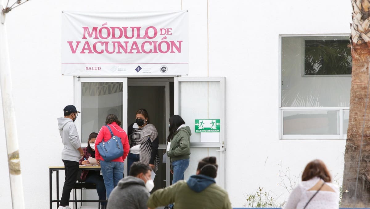 Próxima semana iniciará vacunación contra COVID a adolescentes con comorbilidades en Puebla 3 vacunacion a menores 1