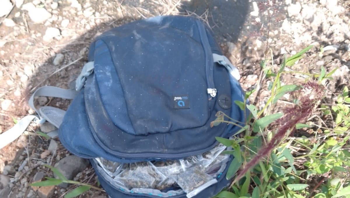 Asegura Policía Estatal 110 bolsas con aparente marihuana en Tlacuilotepec 1 110 kg de marihuana tlacuilotepec 1