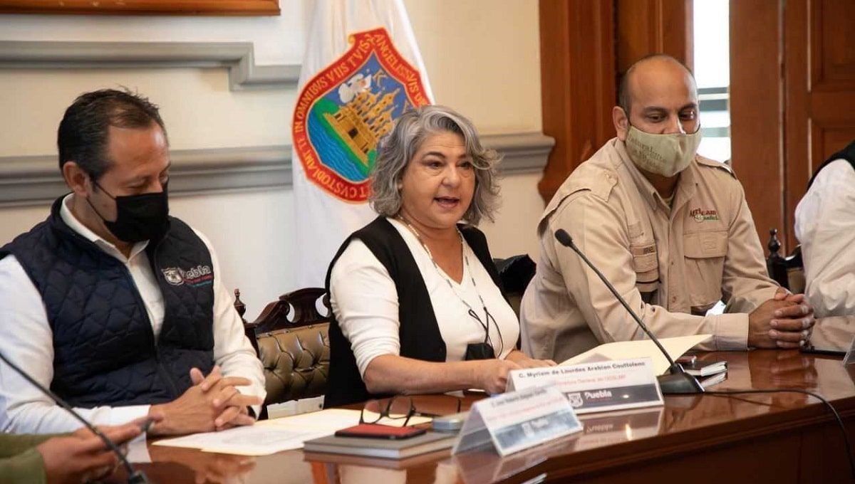 Ayuntamiento de Puebla y Africam Safari lanzan campaña conjunta para reciclar árboles de navidad 2 ayuntamiento campana arboles navidenos min