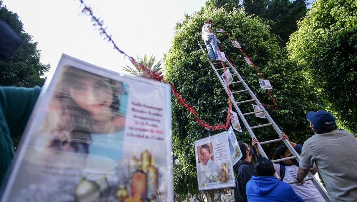 FOTOS: Colectivo adorna árbol en el zócalo de Puebla en honor a sus familiares desaparecidos 5 desaparecidos 2
