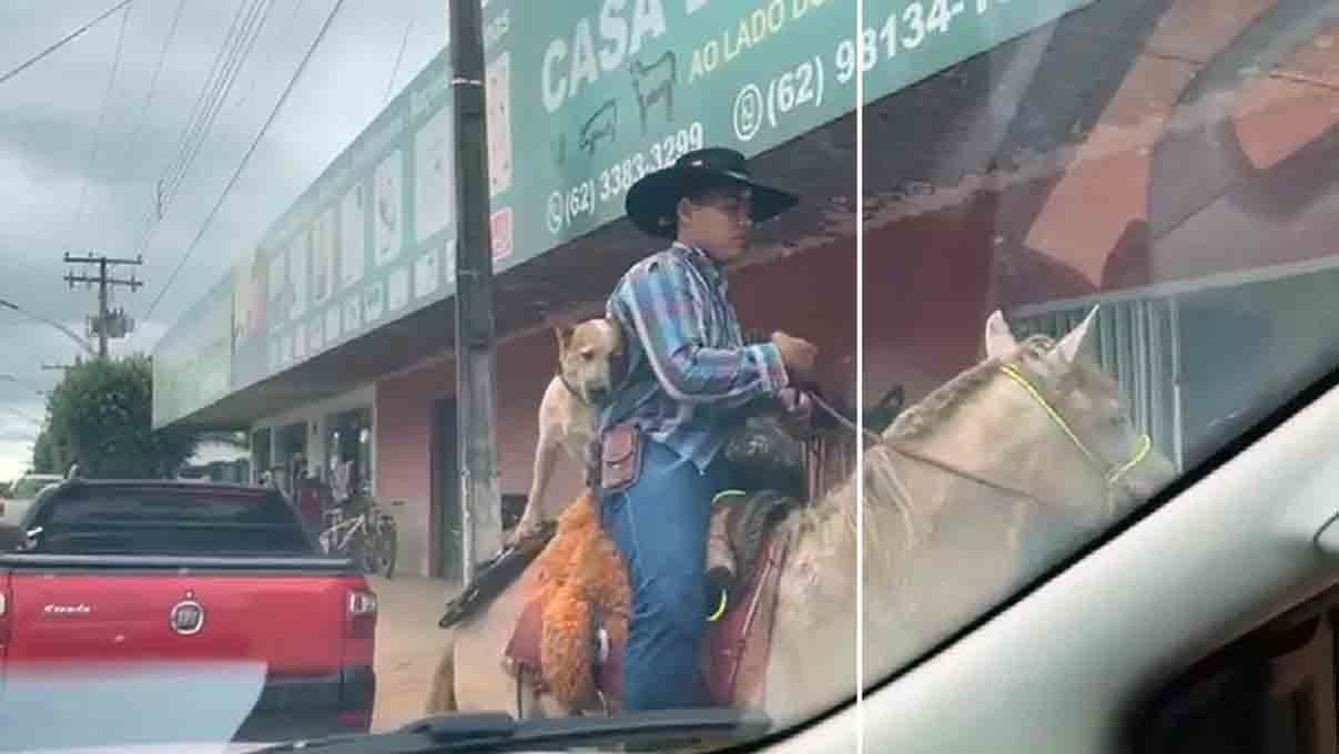Perro montado en caballo pasea por calles de Brasil 2 perro caballo