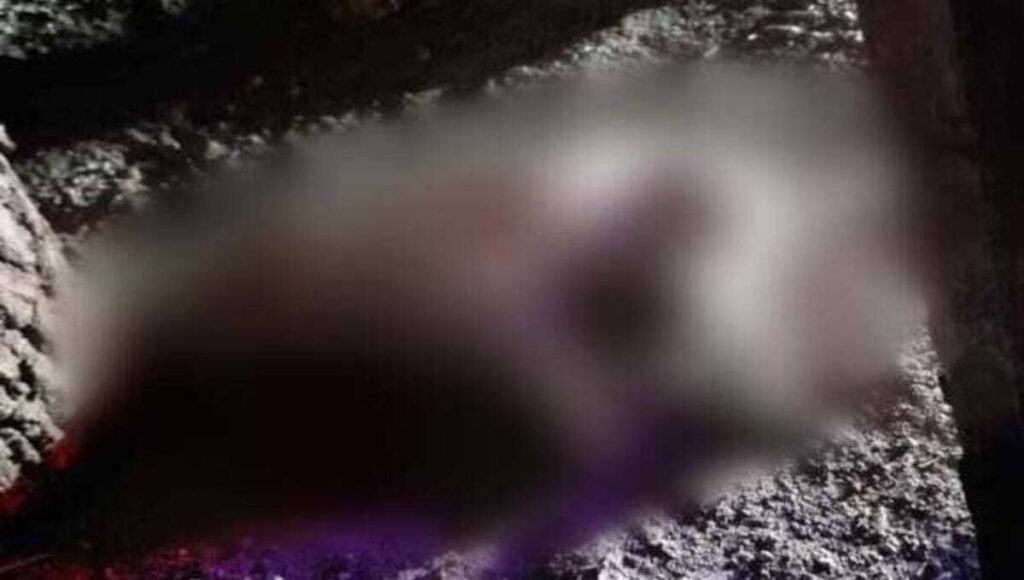 271712044 463289215286344 7471999853100787314 n 2 1 1