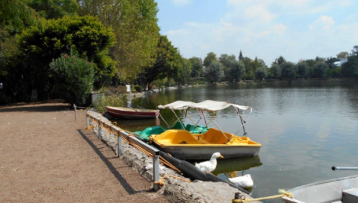 ¡Cuidado! Colocan comida y agua para envenenar a perros en la laguna de San Baltazar 3 Laguna san baltazar