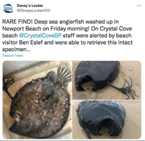 california
