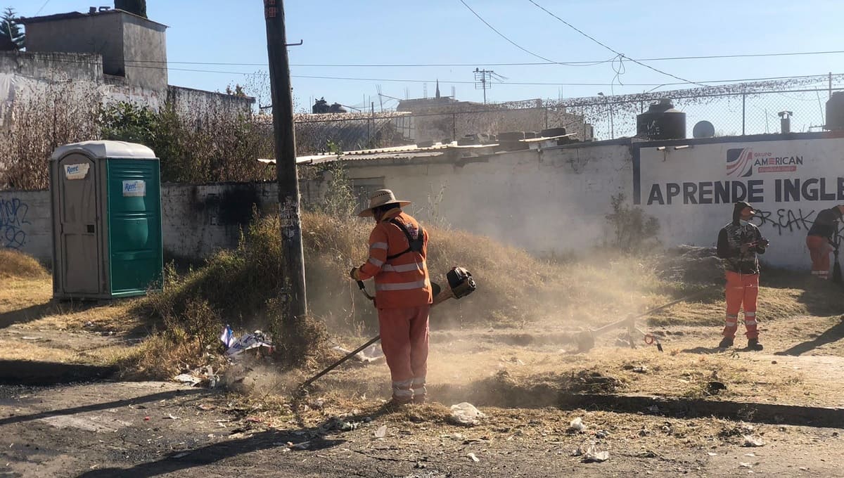 brigada de limpieza loma bella 1