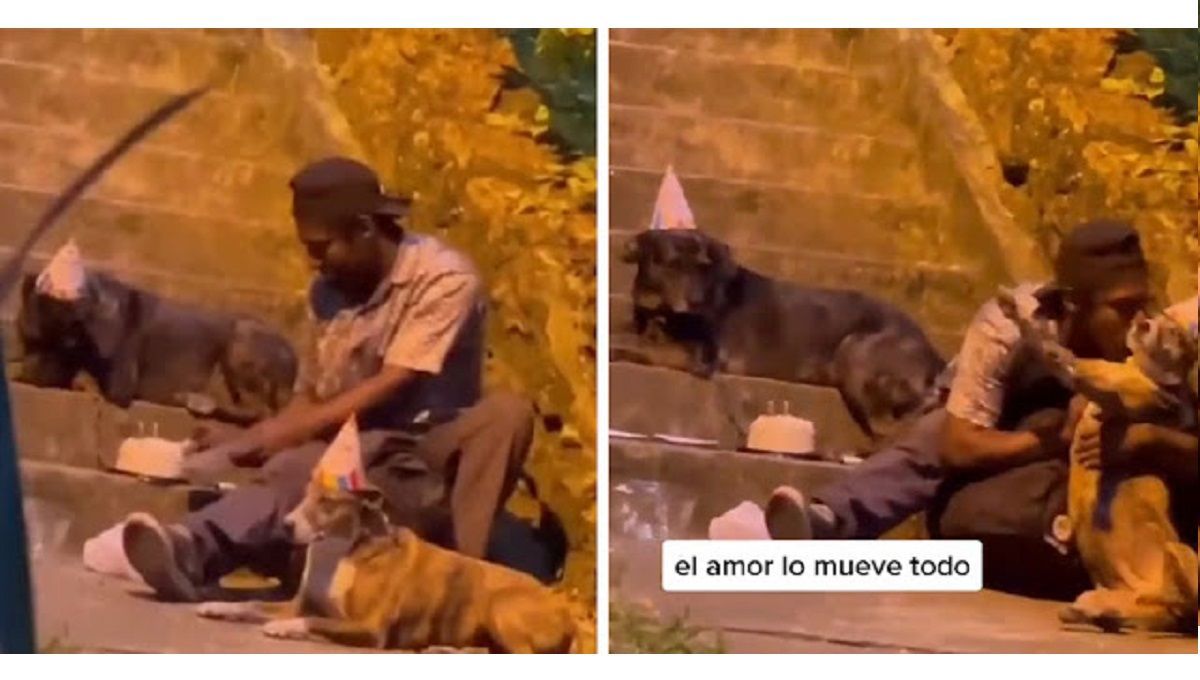 VIDEO: Hombre en situación de calle celebra su cumpleaños al lado de sus perritos en Colombia 3 choco