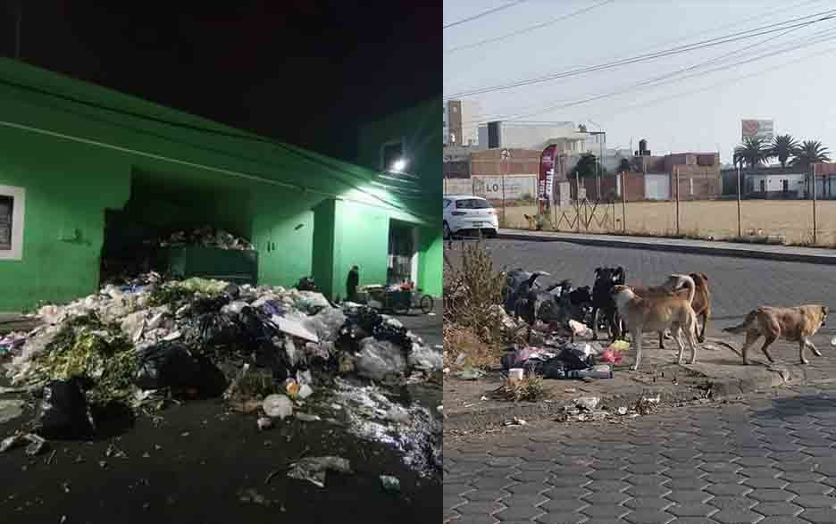 ¿Otra vez Paola Angón? Mercado Cosme del Razo en San Pedro Cholula es un basurero 3 cholula basura
