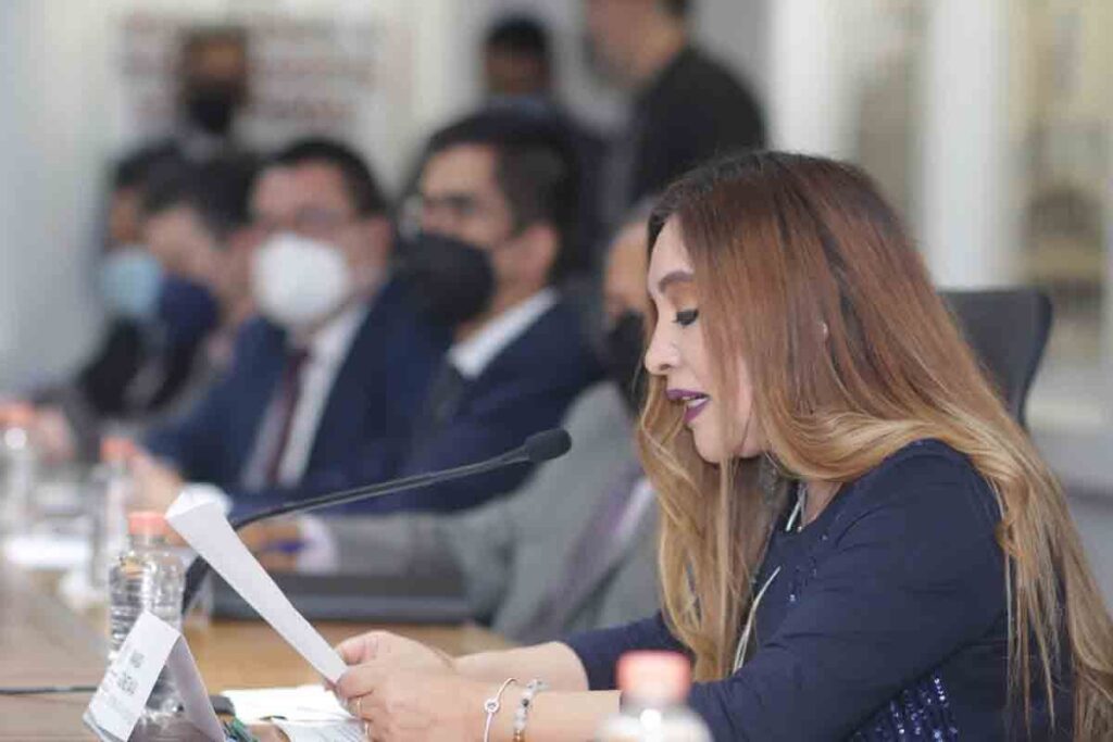 comparecencia funcion publia