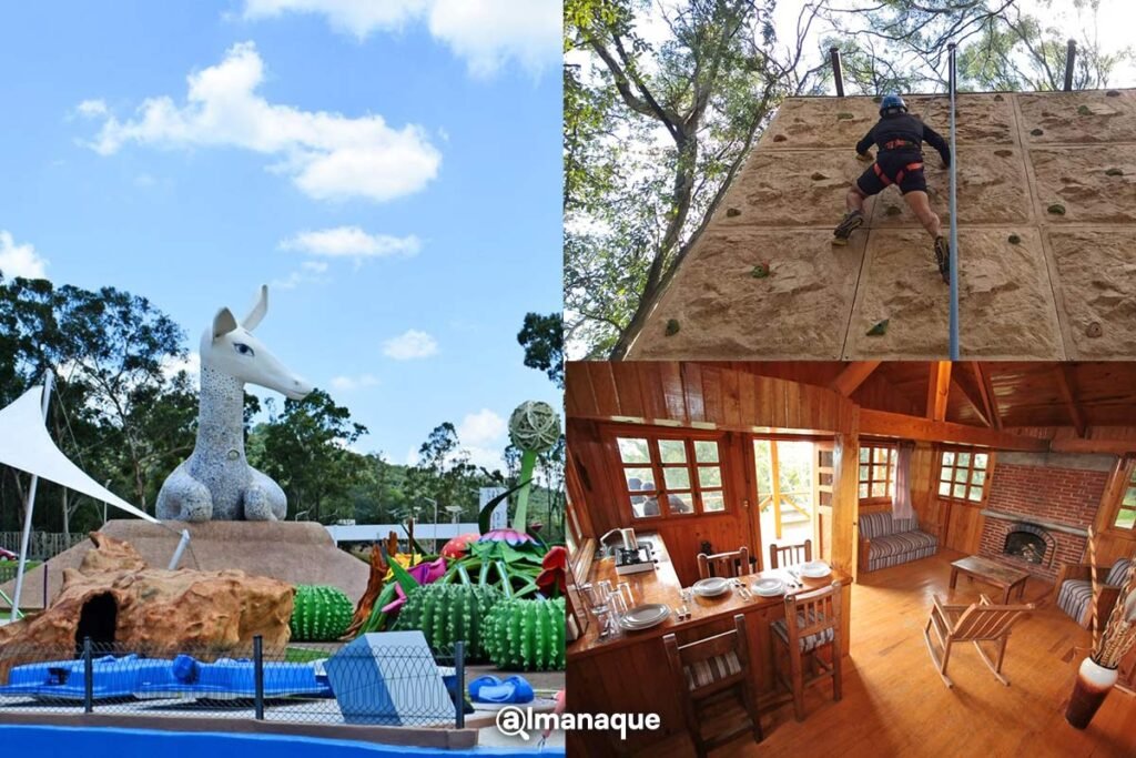 flor del bosque costos