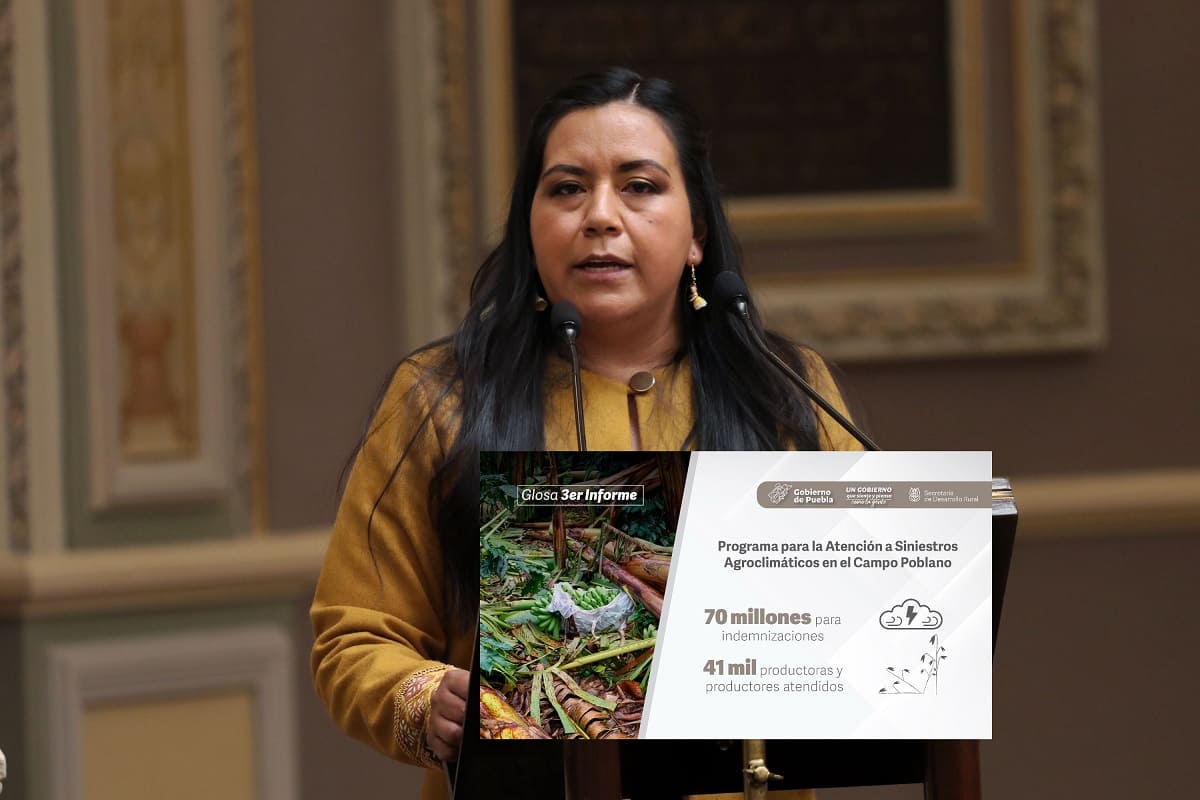 Gobierno de Puebla indemnizó a agricultores con 70 mdp por siniestros agroclimáticos en 2021 2 gobierno de puebla 70 mdp agricultores 1