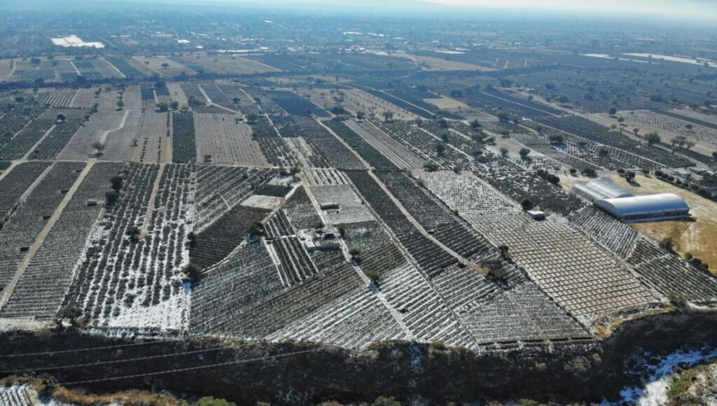granizada acatzingo 1 1