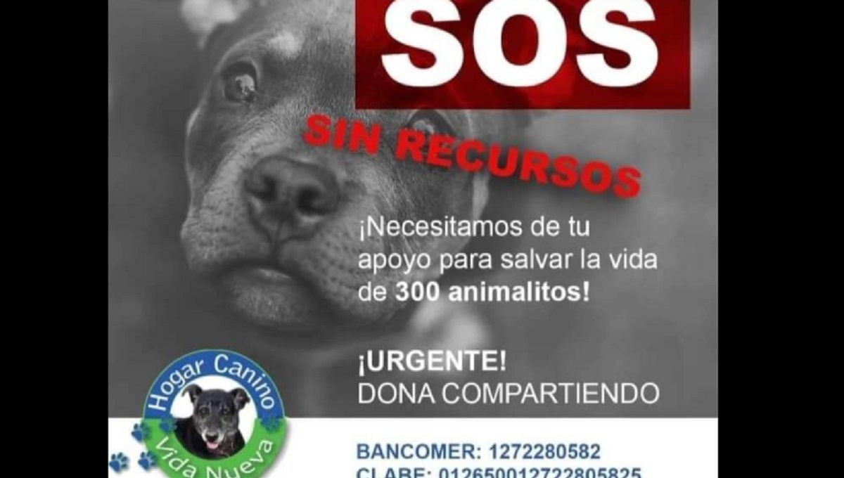 hogar canino