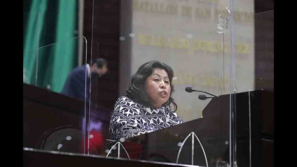 ines parra diputada