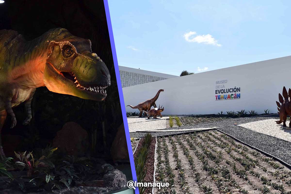 Otra obra chafa del morenovallismo: Museo de la Evolución de Tehuacán está colapsado 3 museo de la evolucion Tehuacan Puebla