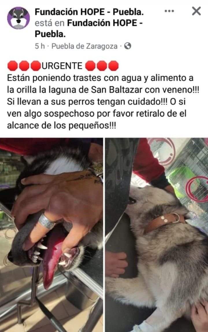 laguna de san baltazar