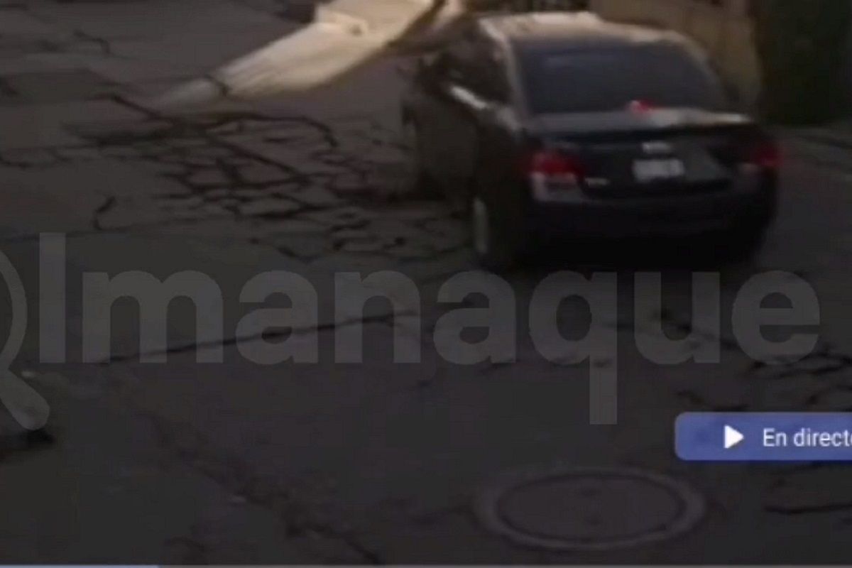 VIDEO: Automovilista que atropelló a un perro en Guadalupe Caleras regresó para terminar de matarlo 2 Perro 2