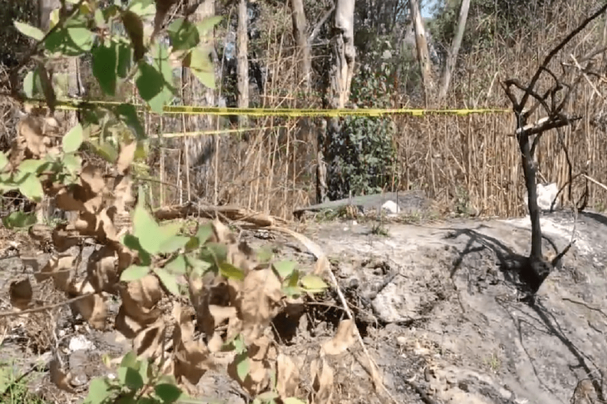 Feminicidio: Mujer en situación de calle es asesinada a golpes en Puebla, sospechan de su pareja 3 Vicente Suarez
