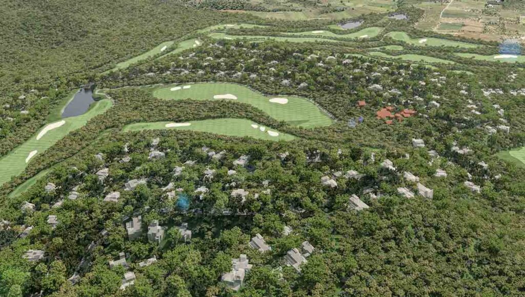 cola de lagarto puebla