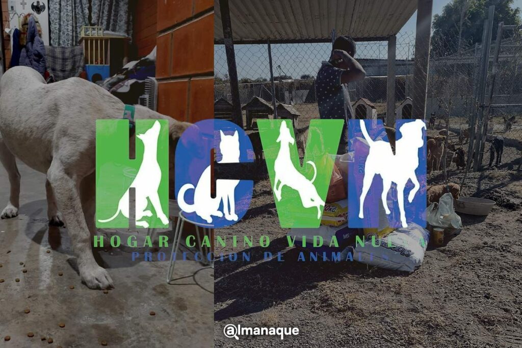 donativos Hogar Canino Vida Nueva Puebla
