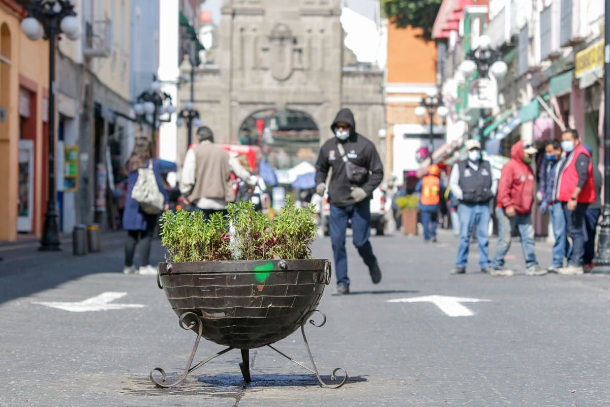 macetones 6 orientes