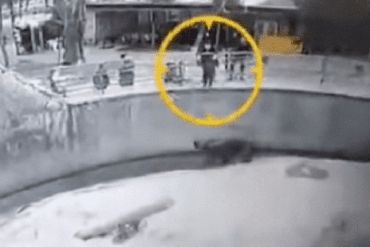 mujer avienta hija oso 1