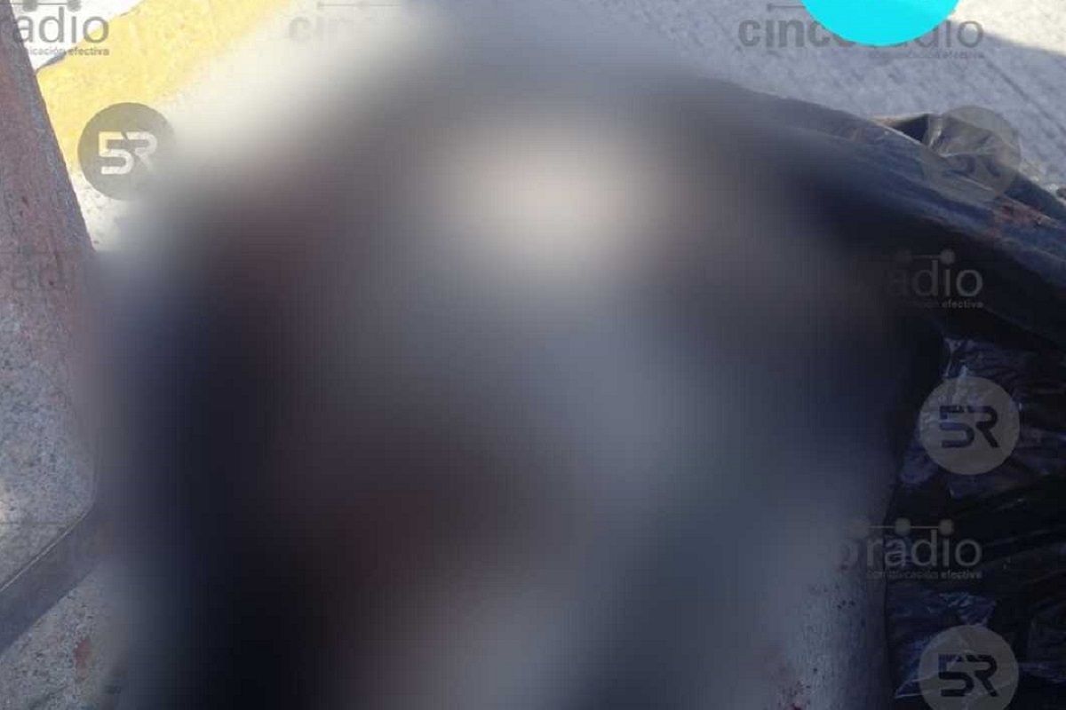 FOTOS: Avientan a perrito herido dentro de una bolsa en la federal a Atlixco 3 perro federal a