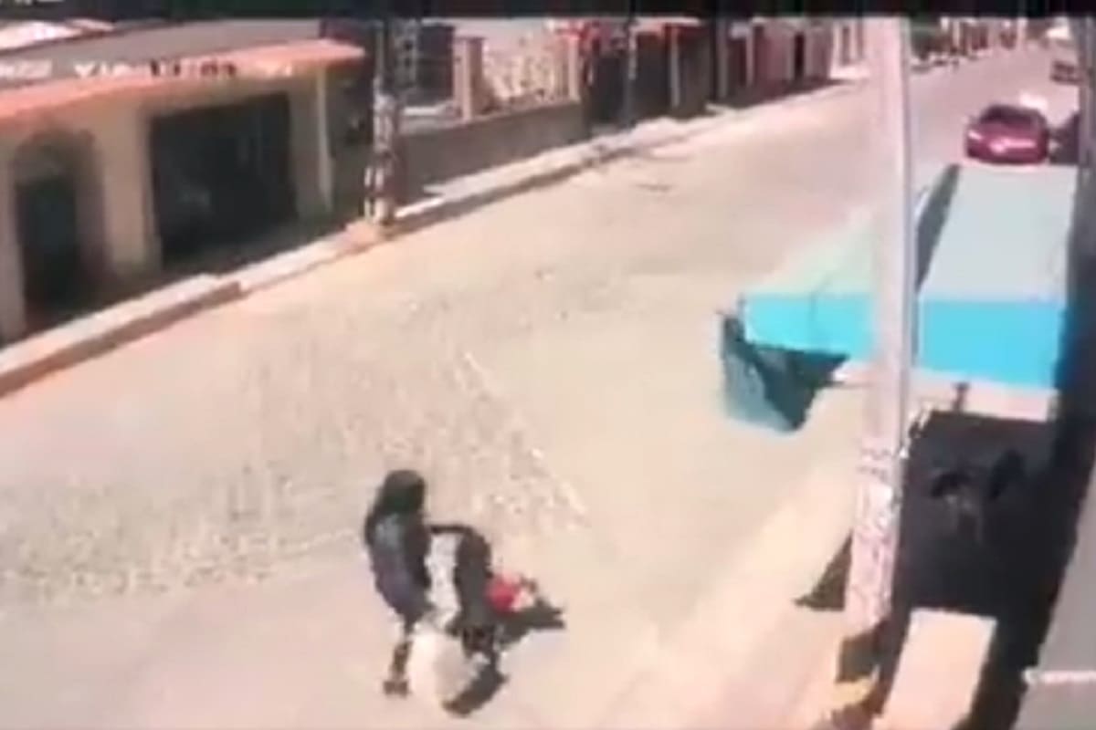 VIDEO MUY FUERTE: Perros atacan a niña de 2 años en Edomex 2 perros atacan a nina 1