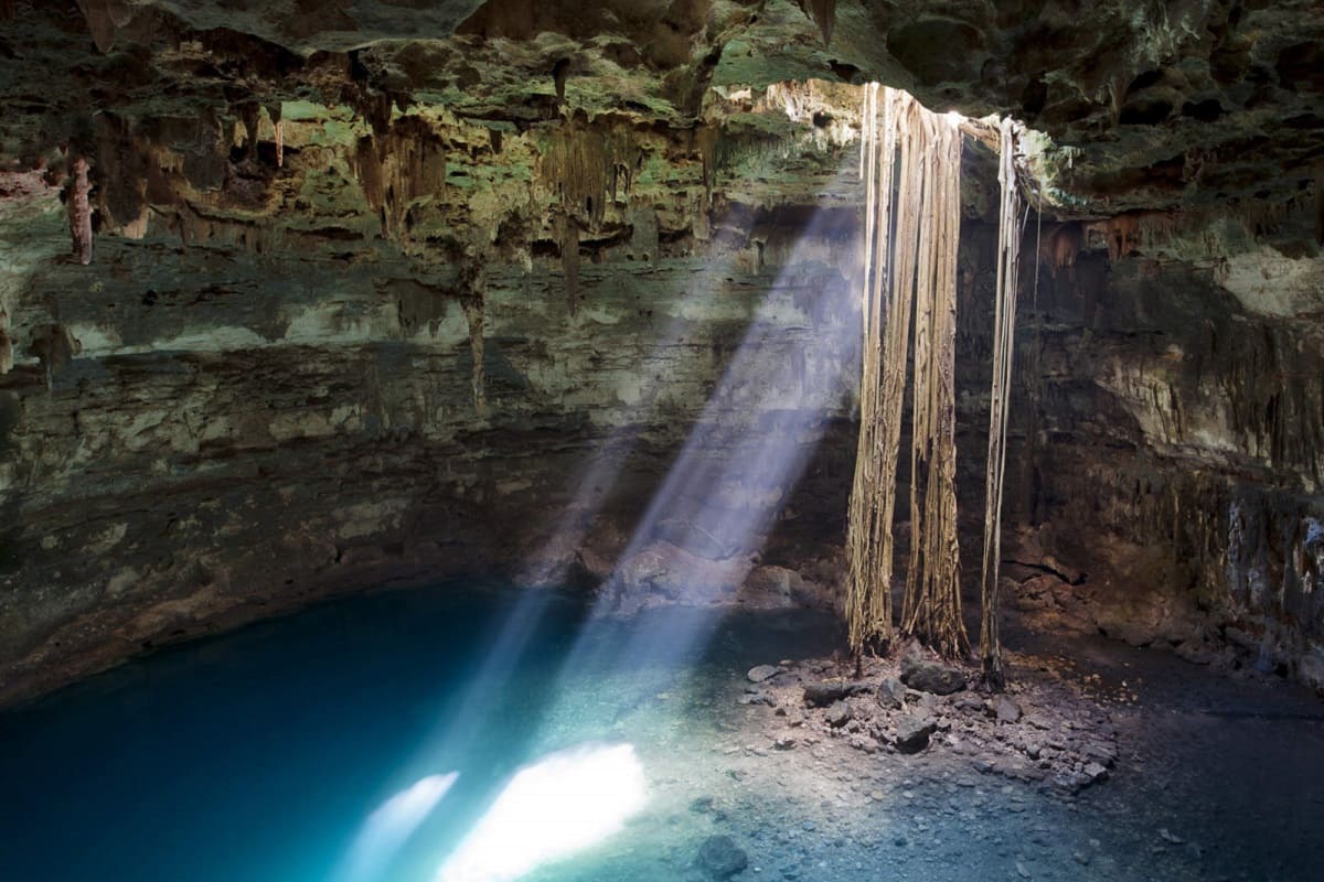 Cavernas y cenotes de Quintana Roo amenazados por la nueva ruta del Tren Maya 3 tren maya cenote 1