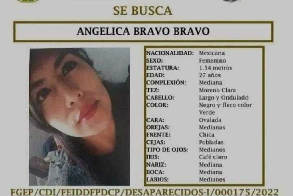 Angelica bravo