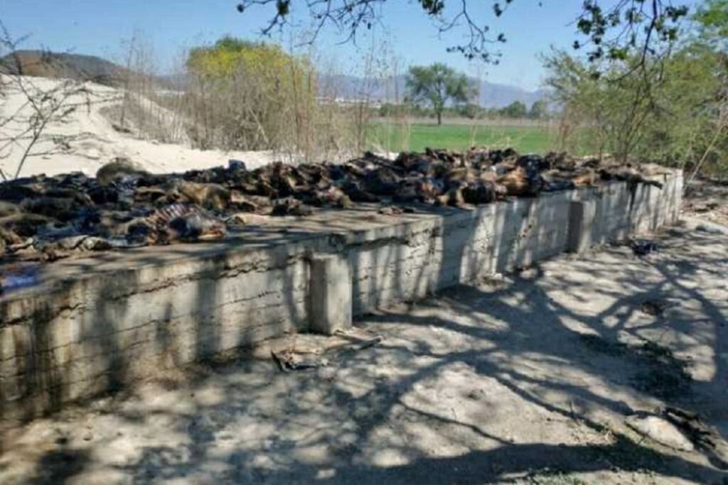 Screenshot 20220311 170456 Facebook 1