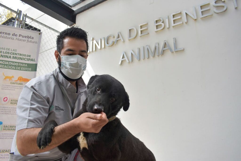 centro de bienestra animal