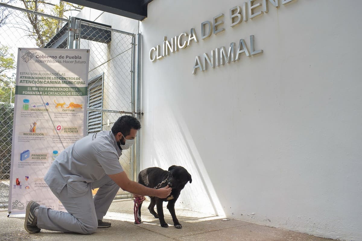 centro de bienestra animal 2