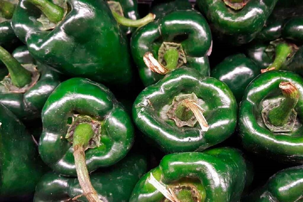 chile poblano mexico travel channel 1200x680