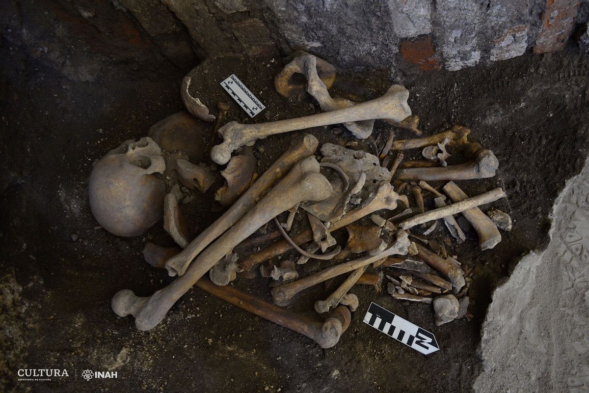 Encuentran entierros humanos asociados a la Intervención Francesa en el Templo de San Francisco 6 foto home