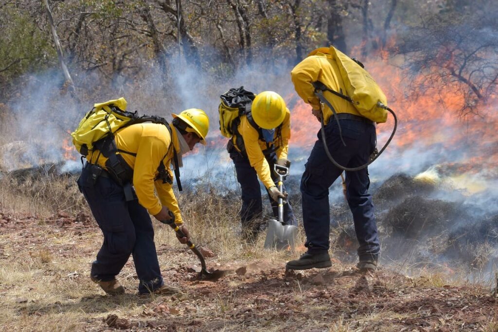 incendios forestales Puebla