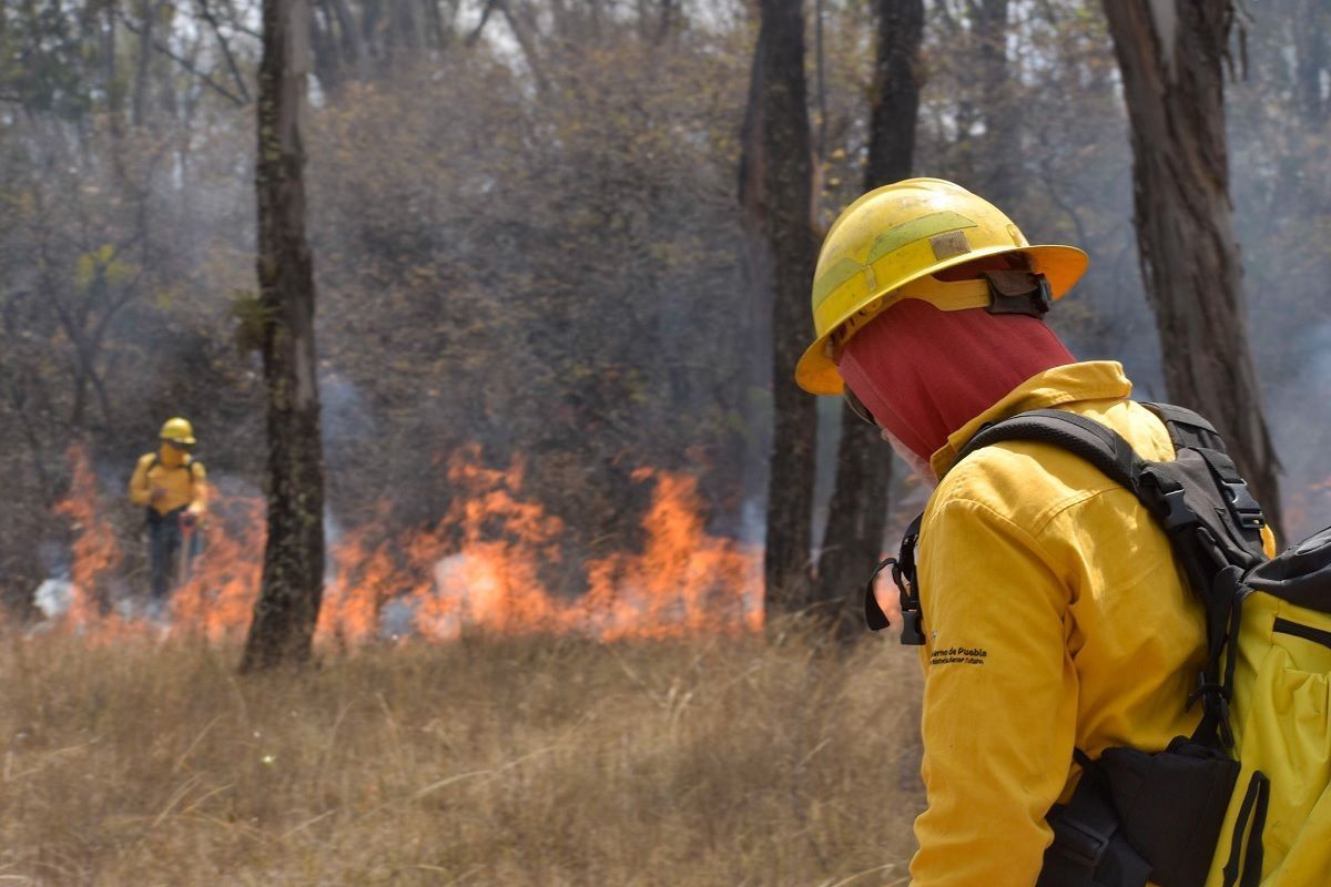 incendios forestales gobierno de puebla