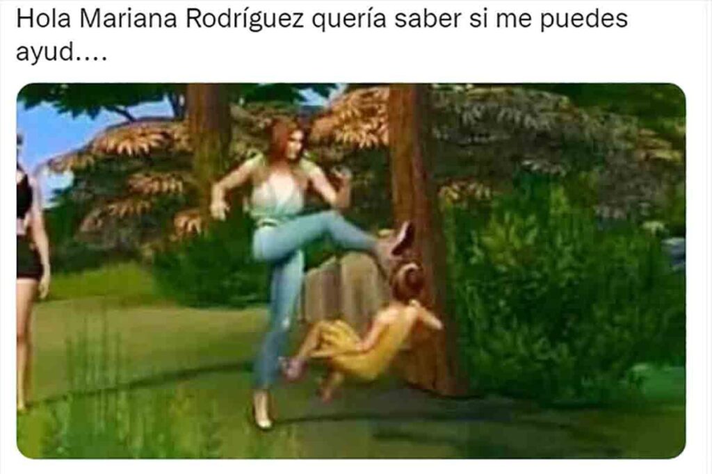 memes mariana rodriguez