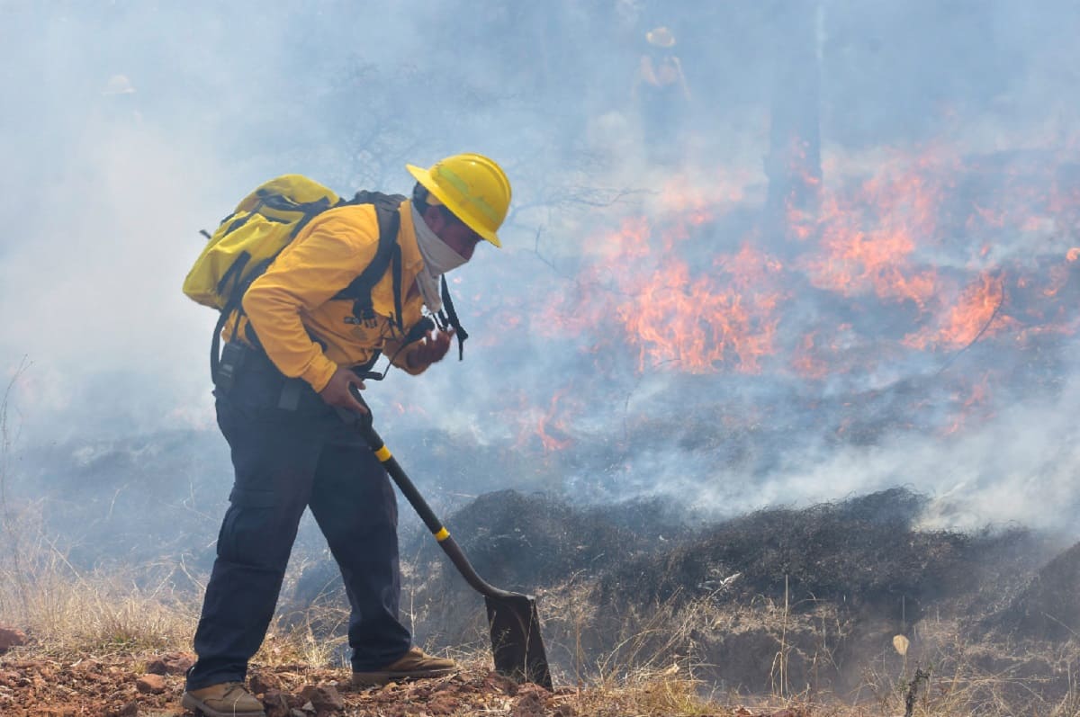 FOTOS: Así funciona Centro Estatal de Monitoreo de Incendios Forestales 4 oncendios forstales Puebla 2