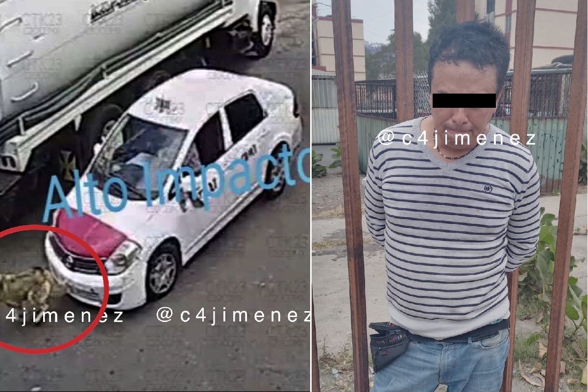 Matan a ladrón que atropelló a un perrito cuando intentaba huir de la policía en CDMX 1 perrito
