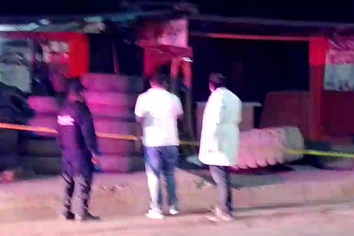 Pitbull ataca y mata a una persona en Xicotepec; le desfiguró el rostro 2 pitbull