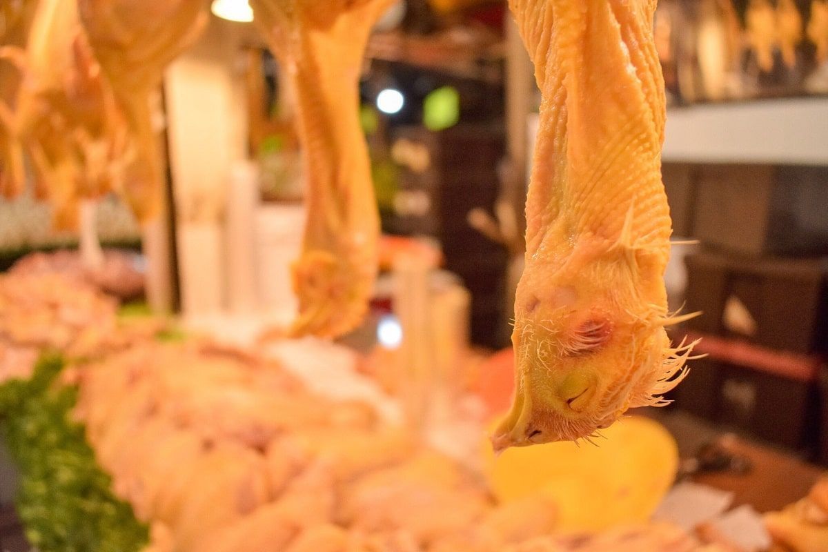 12 personas de Ixcaquixtla se intoxican por consumir pollo en mal estado 2 pollo min