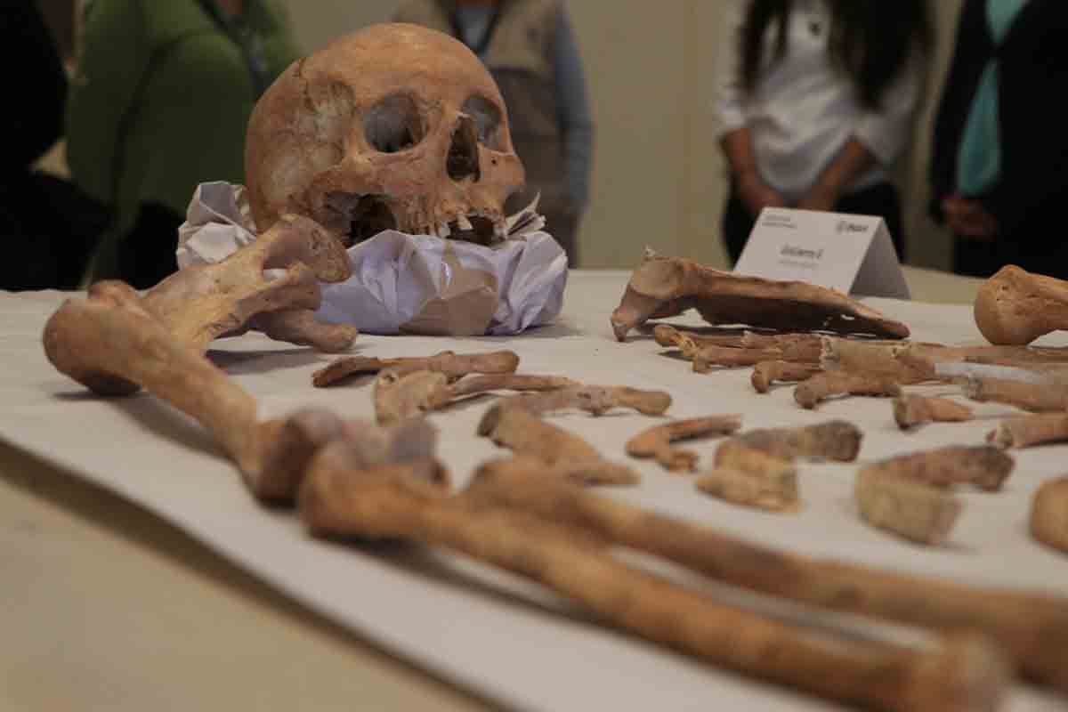 Encuentran vestigios históricos en ex templo de San Francisco Javier en Puebla 4 restos humanos san javier