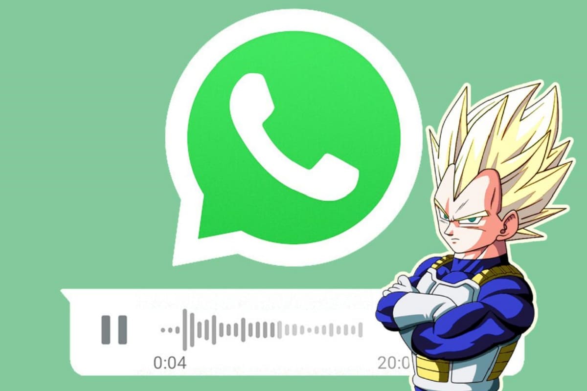 vegeta audio 1