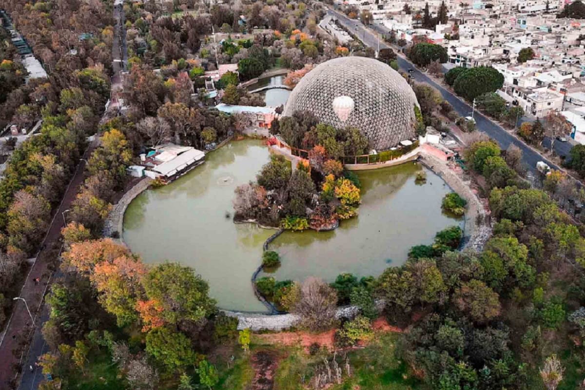 Los mejores lugares de Puebla para visitar con niños (Parte 2) 24 ArboTerra