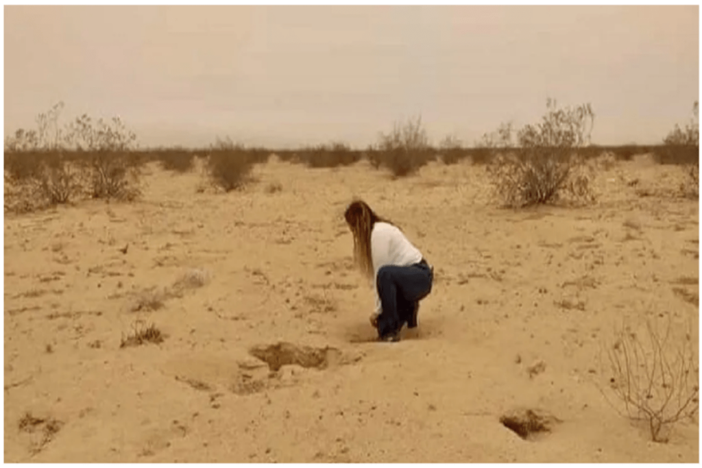 Cecilia Flores Sonora